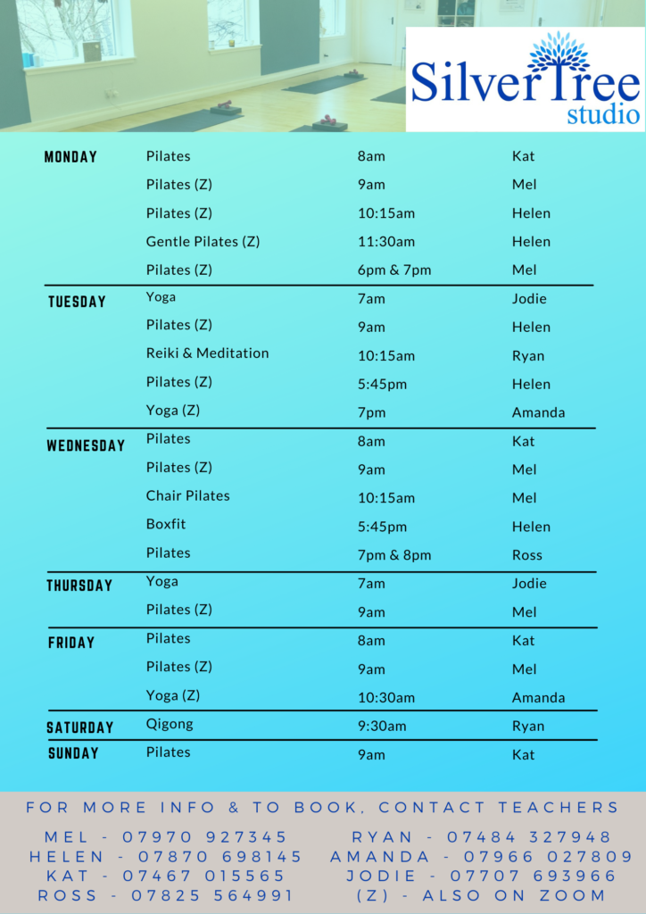 Silver Tree Studio weekly class timetable